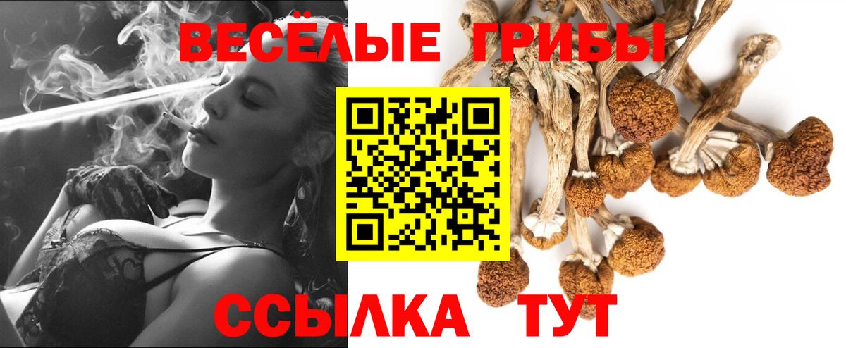 Баксан  Псилоцибиновые грибы Magic Shrooms  Вход с VPN 