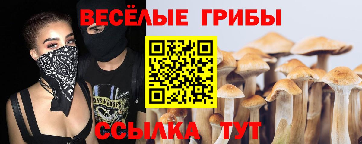 Псилоцибиновые грибы Cubensis Баксан
