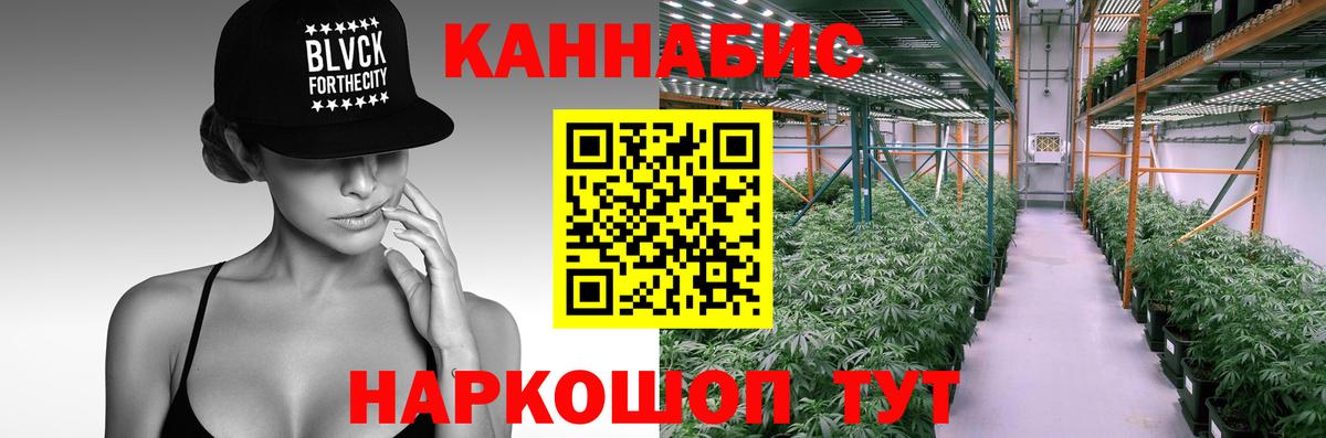 Баксан  Бошки Шишки семена  Бошки Шишки AK-47  Вход с VPN 