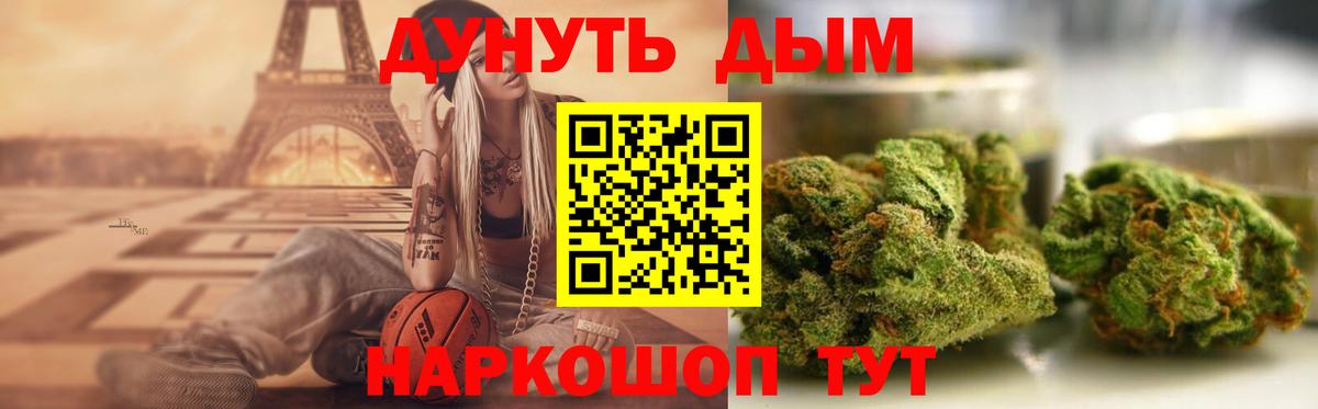 Конопля планчик Баксан
